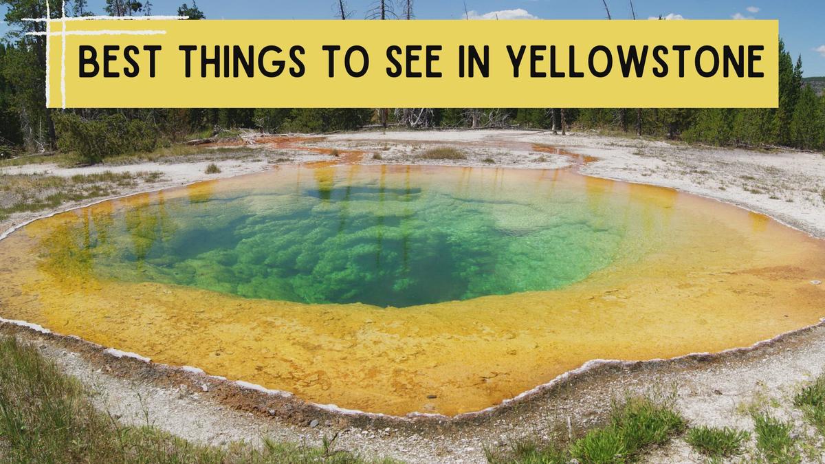 'Video thumbnail for Best Things to See in Yellowstone National Park'