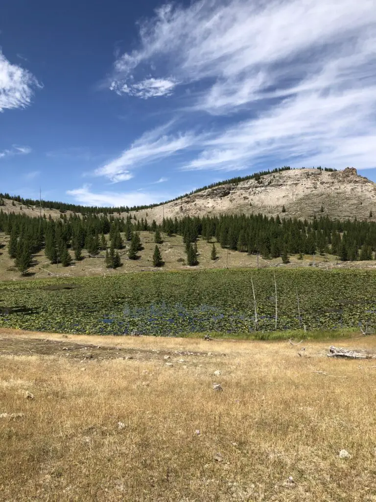 hidden yellowstone