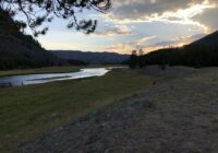 best campground in yellowstone national park